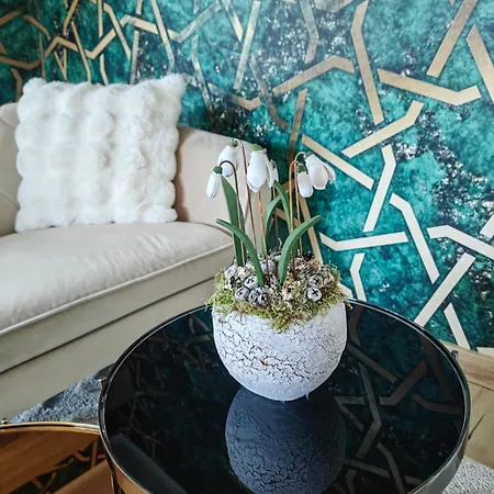 Διαμέρισμα Vendeghaz *