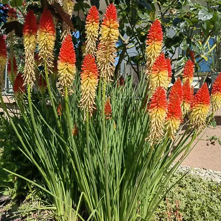 Lägenhet Vendeghaz Balatonfüred