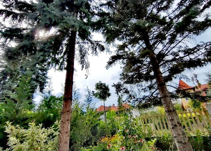 아파트 Vendeghaz *