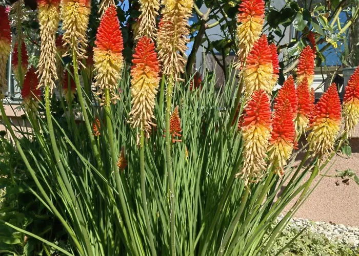 아파트 Vendeghaz 블로톤퓌레드