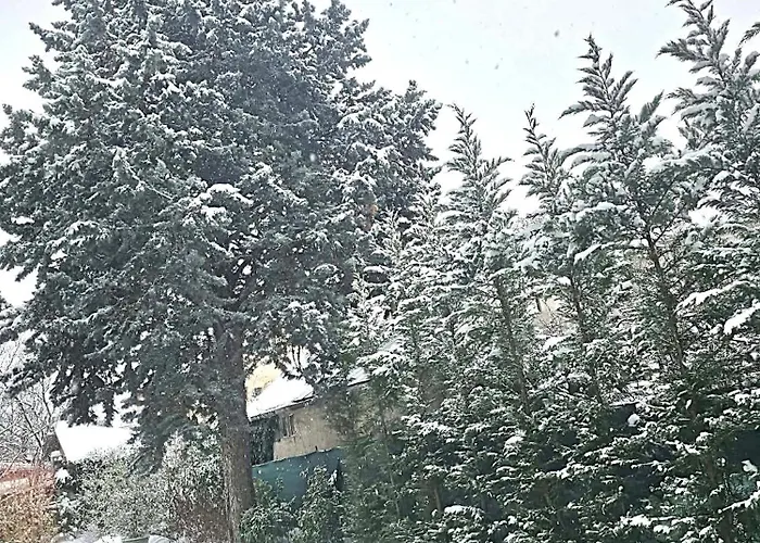 Vendeghaz 블로톤퓌레드