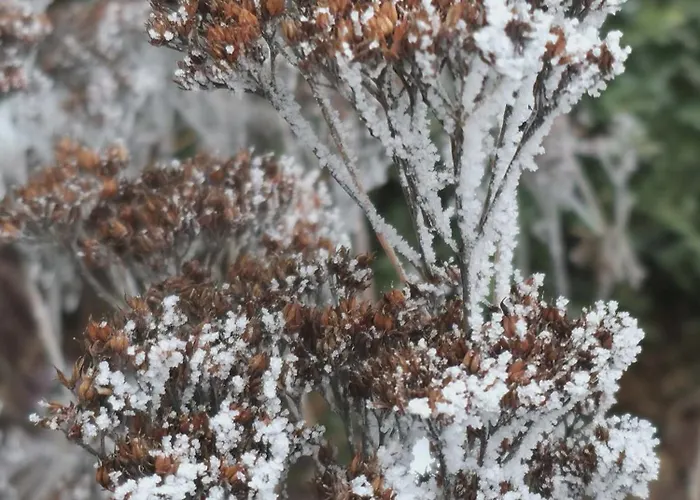 Vendeghaz 아파트 *