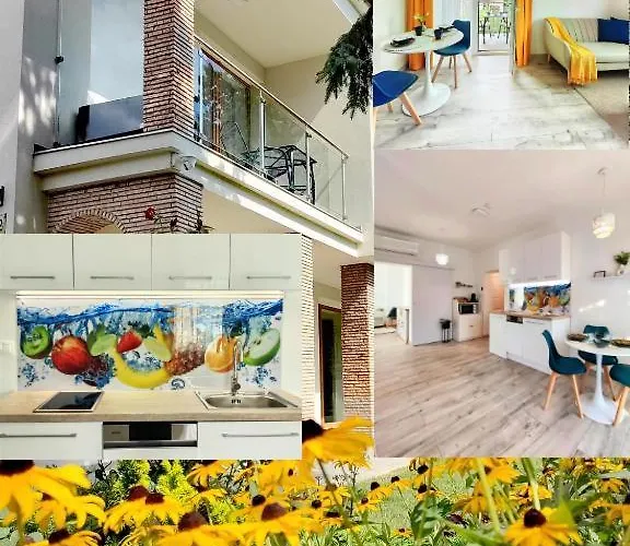 Vendeghaz * 블로톤퓌레드