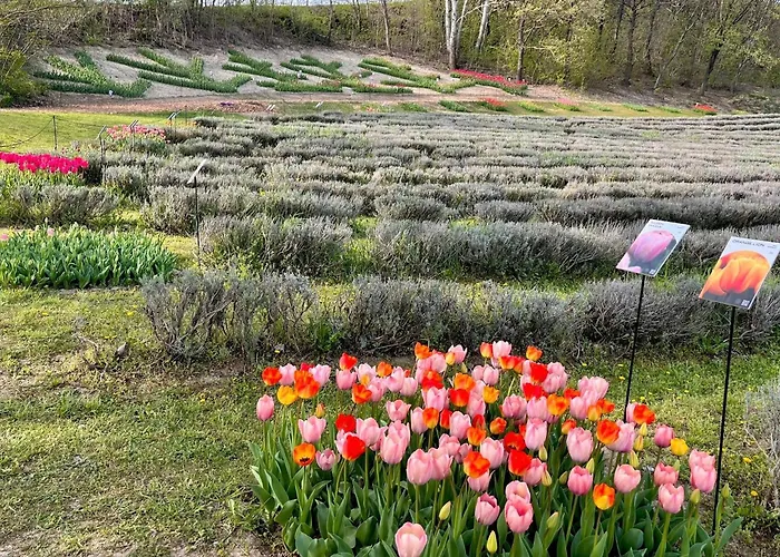 Vendeghaz 아파트 블로톤퓌레드