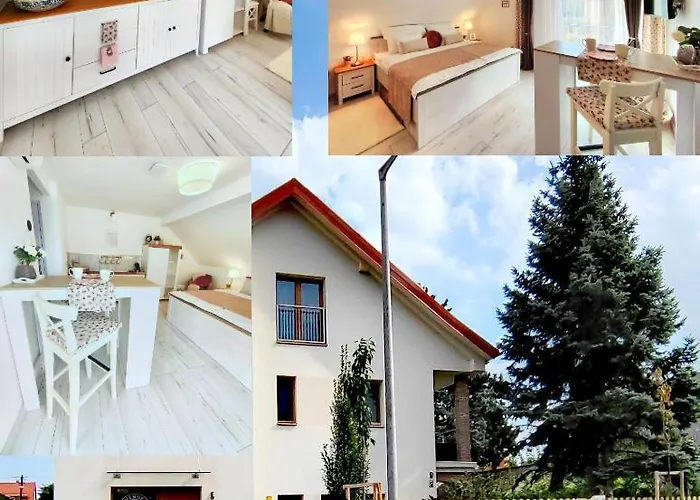 Vendeghaz 블로톤퓌레드